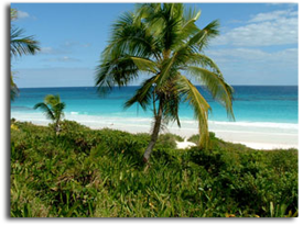 Harbour Island - 700i web design Harbour Island - 700i web design